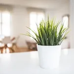 Centro By Mira Appart hôtel Cordoue